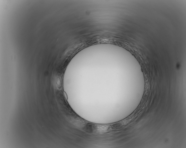 X0000091520709200708171010