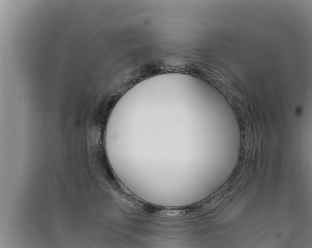 X0000091520711200708171010
