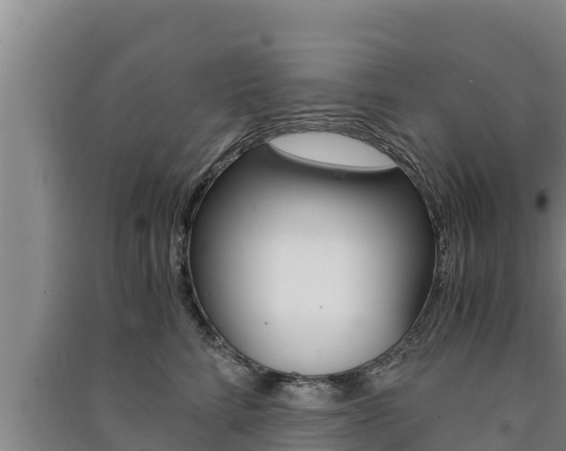 X0000091520712200708171010