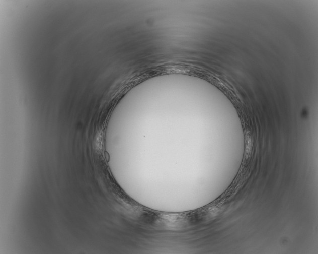 X0000091520713200708171010