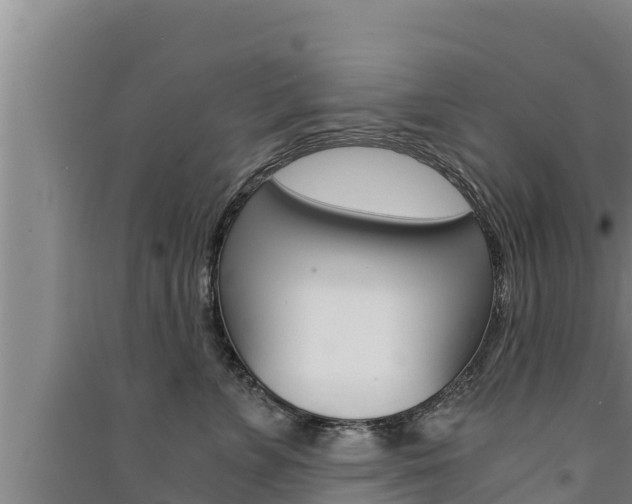 X0000091520715200708171010