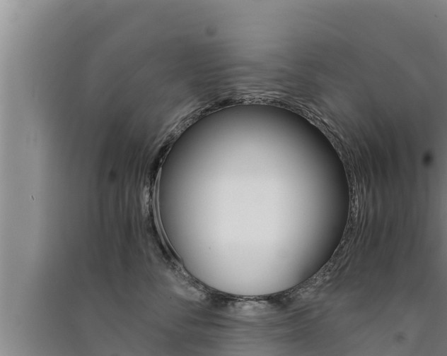 X0000091520716200708171010