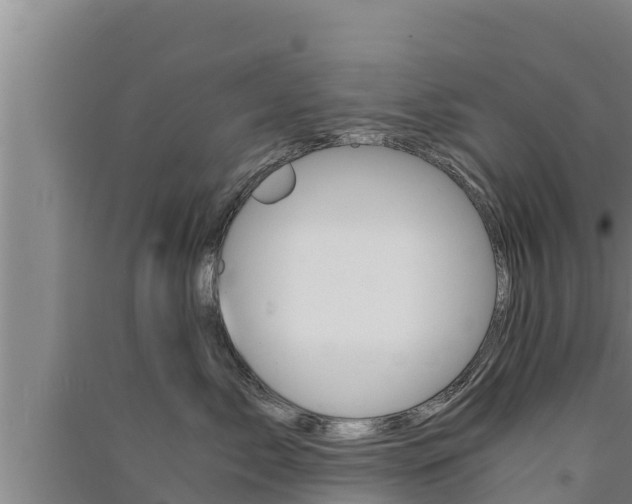 X0000091520717200708171010