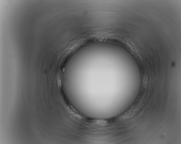 X0000091520719200708171010