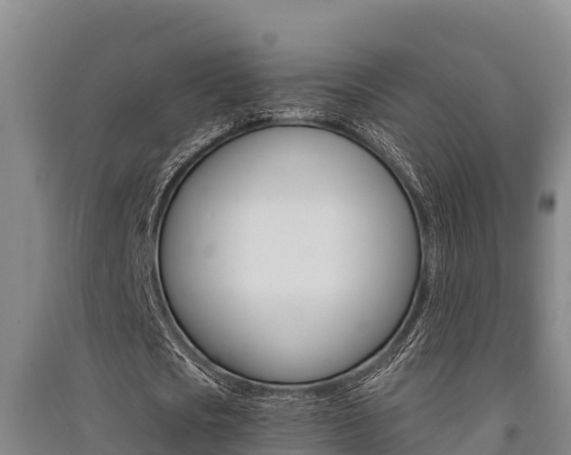 X0000091520721200708171009