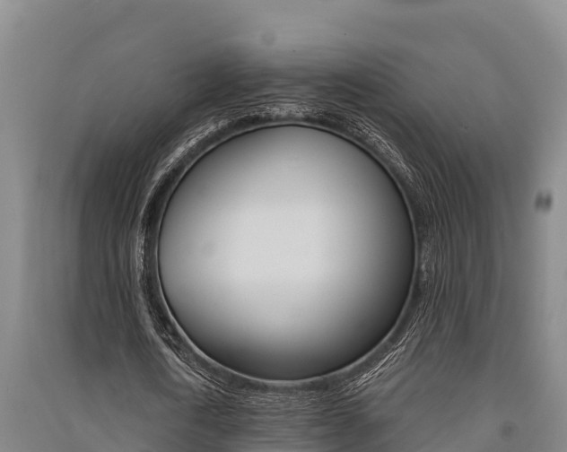X0000091520722200708171009