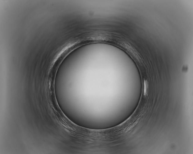 X0000091520723200708171009
