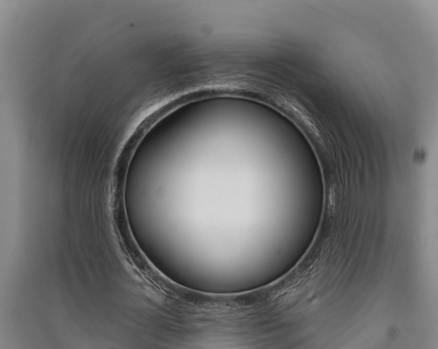 X0000091520724200708171009