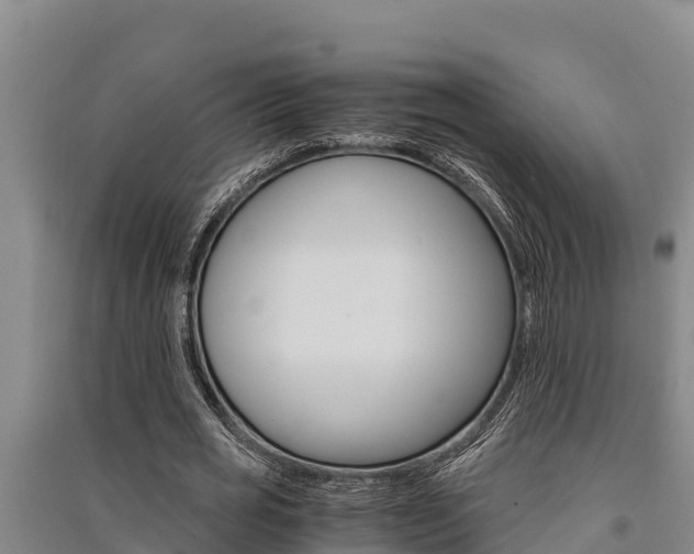 X0000091520725200708171009