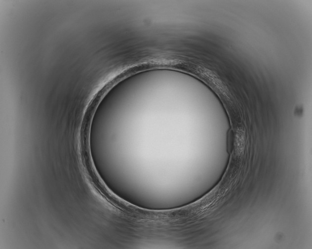 X0000091520726200708171009