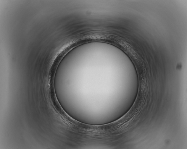 X0000091520727200708171009