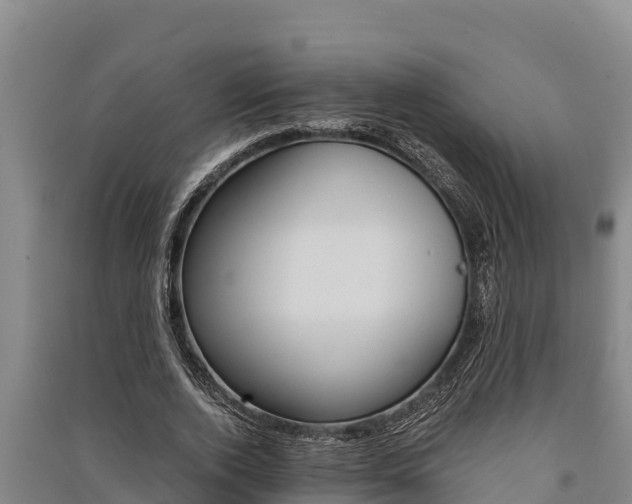 X0000091520728200708171009