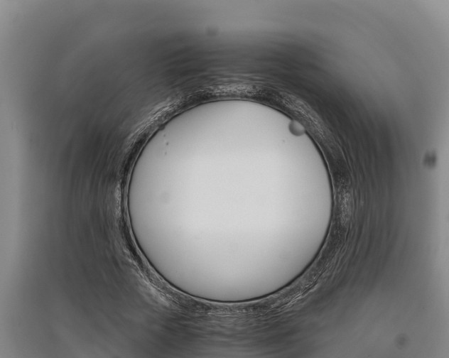 X0000091520729200708171009
