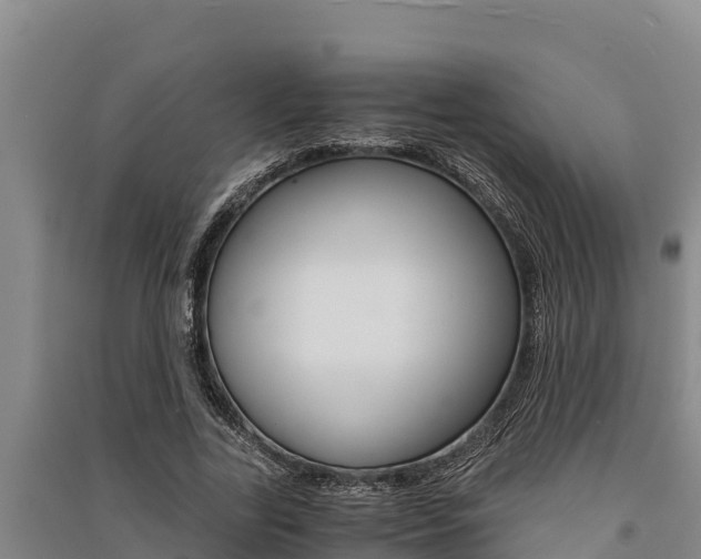 X0000091520731200708171009