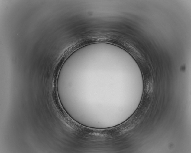 X0000091520733200708171009