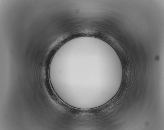 X0000091520734200708171009