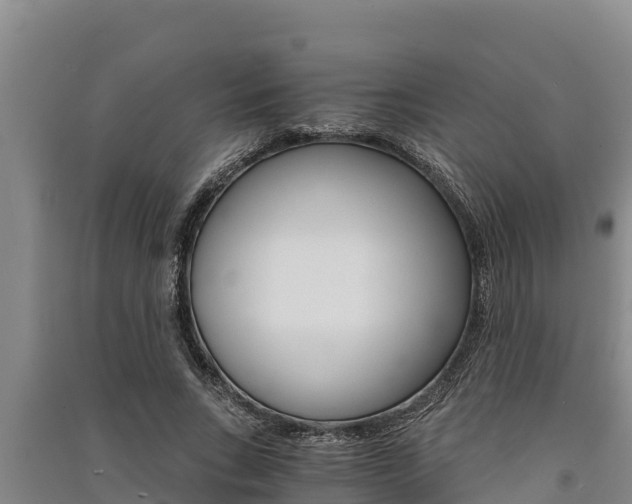 X0000091520735200708171009