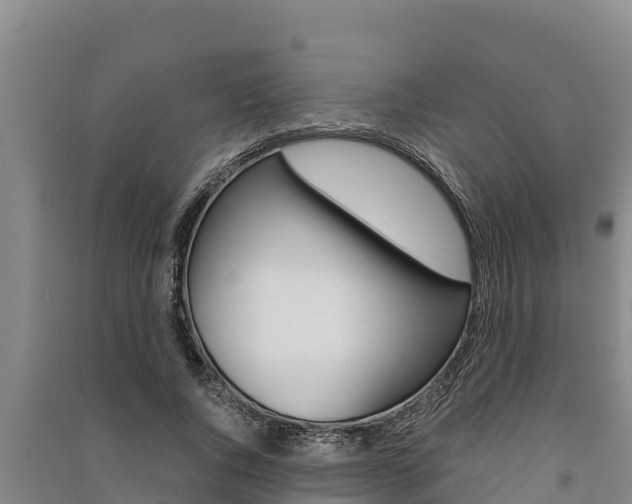 X0000091520736200708171009