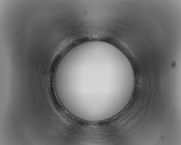 X0000091520738200708171009