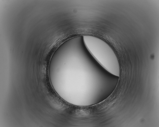 X0000091520739200708171009