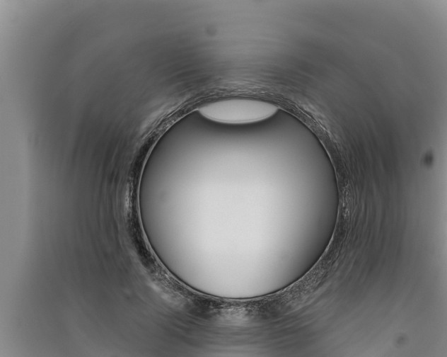 X0000091520740200708171009