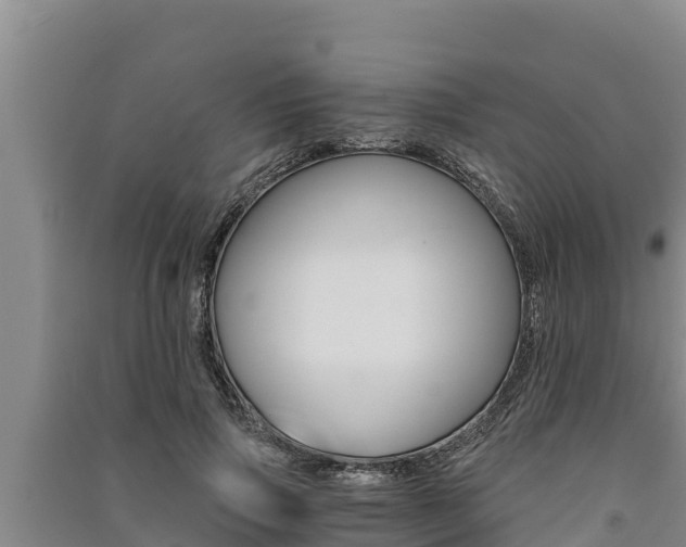 X0000091520741200708171009