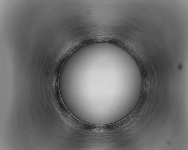 X0000091520742200708171009
