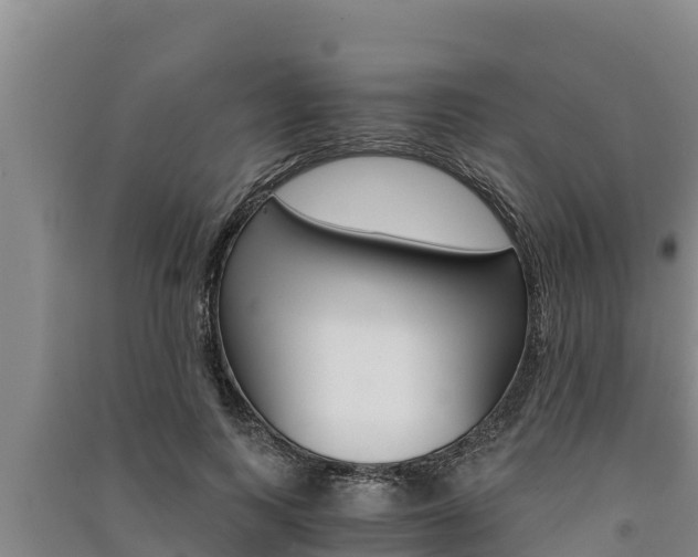 X0000091520743200708171009