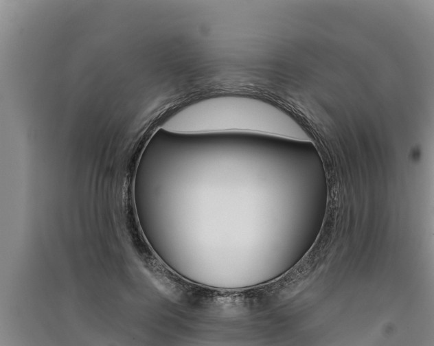 X0000091520744200708171009