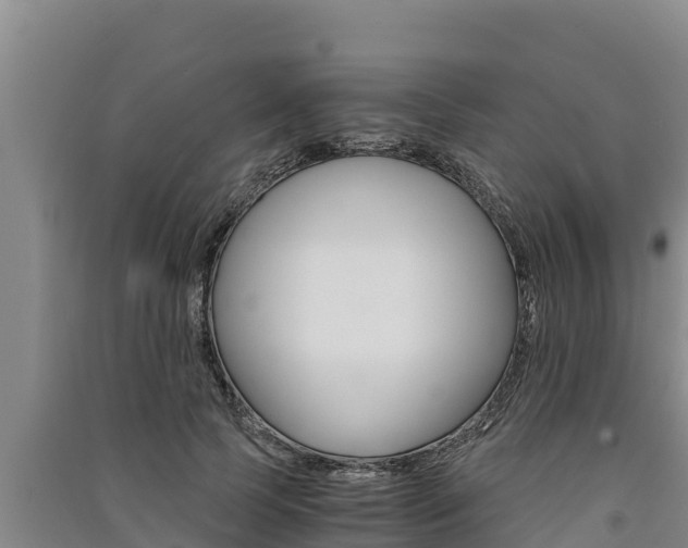 X0000091520745200708171009