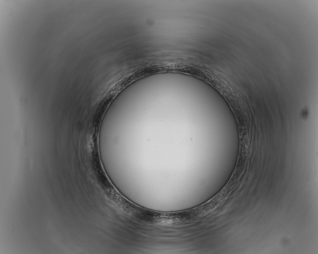 X0000091520746200708171009