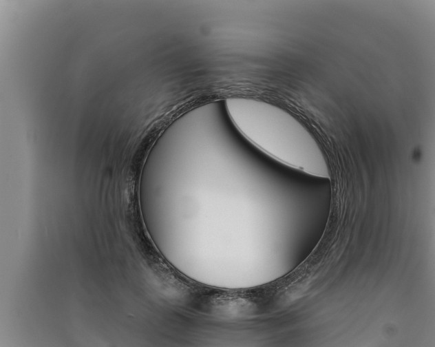 X0000091520747200708171009