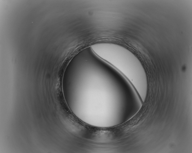 X0000091520748200708171009