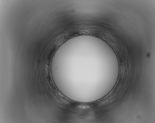 X0000091520749200708171009