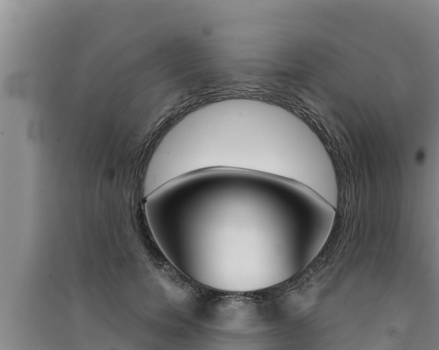 X0000091520750200708171009