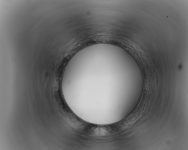 X0000091520751200708171009