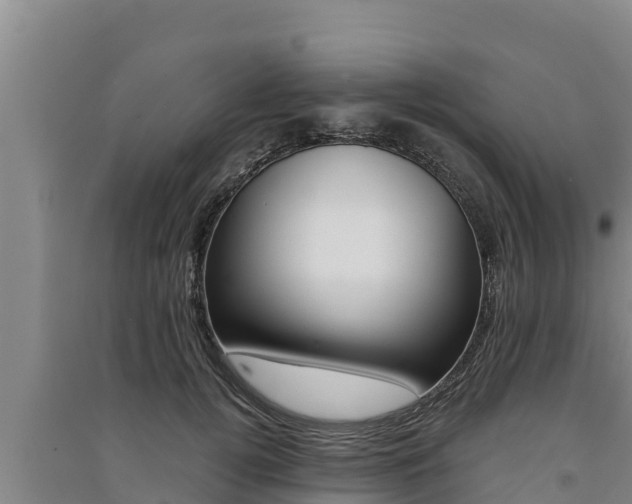 X0000091520752200708171010