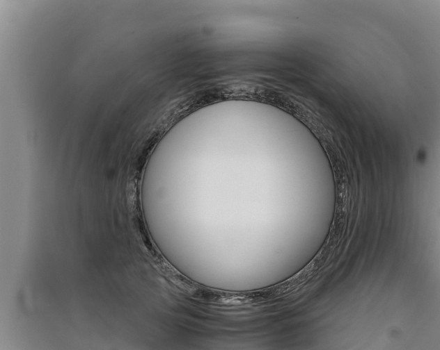 X0000091520753200708171010