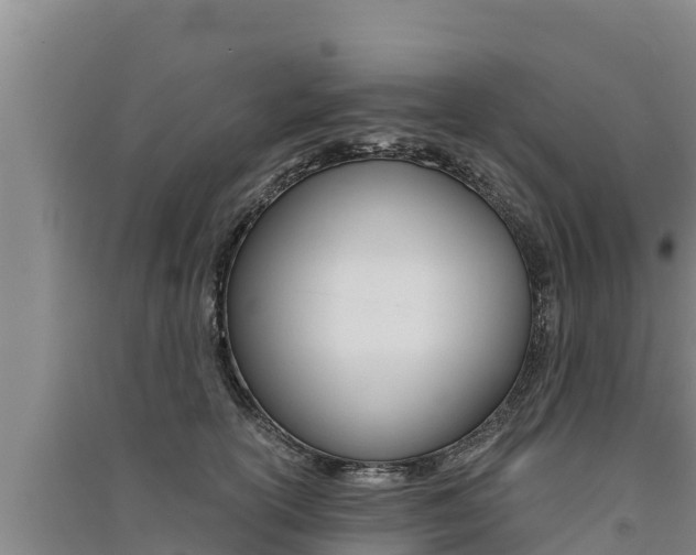 X0000091520754200708171010