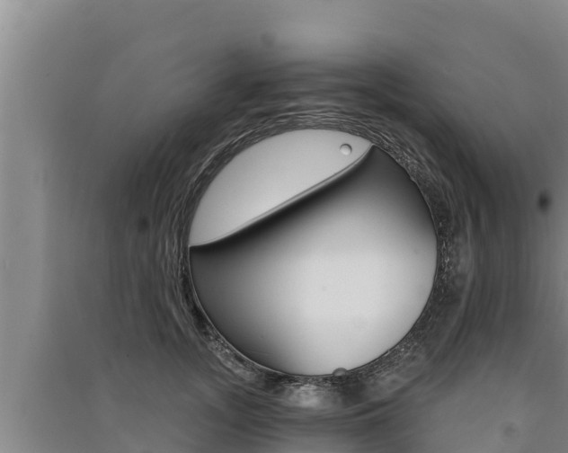 X0000091520755200708171010