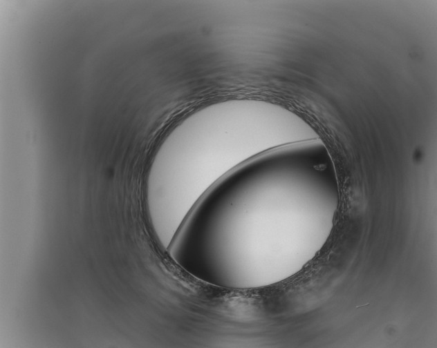 X0000091520756200708171010