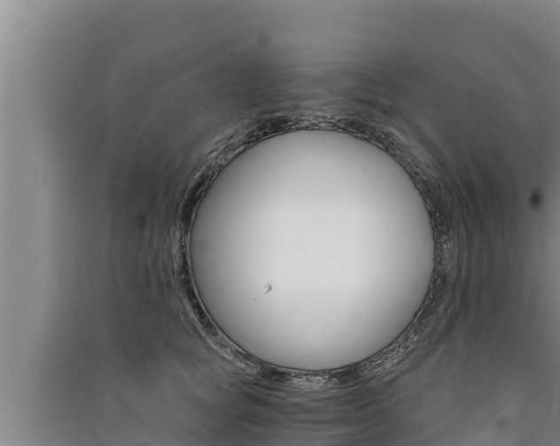 X0000091520757200708171010