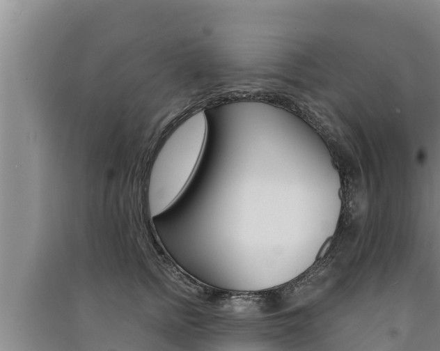 X0000091520758200708171010