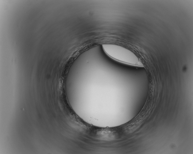 X0000091520759200708171010