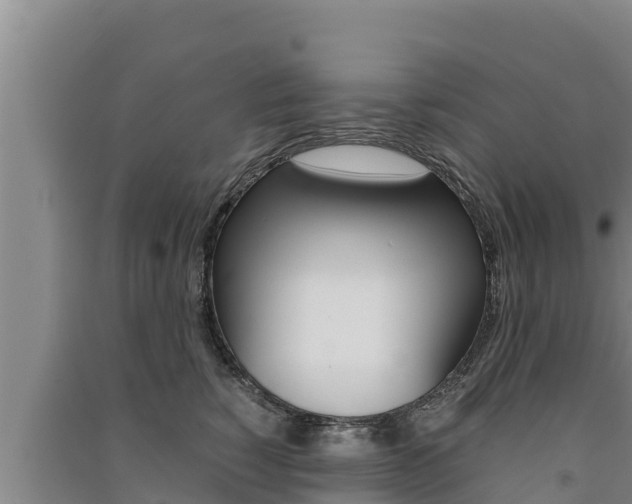 X0000091520760200708171010