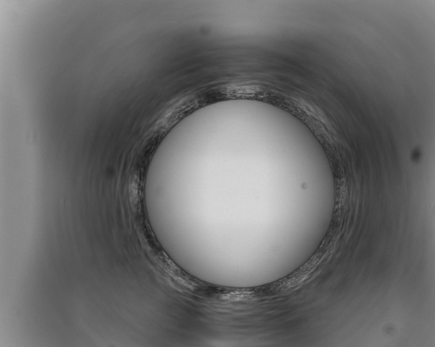 X0000091520761200708171010