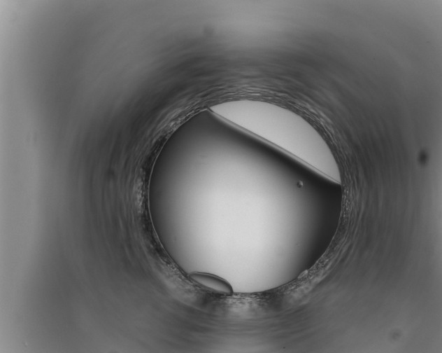 X0000091520762200708171010