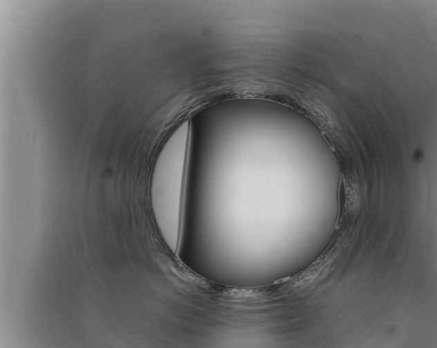 X0000091520766200708171010