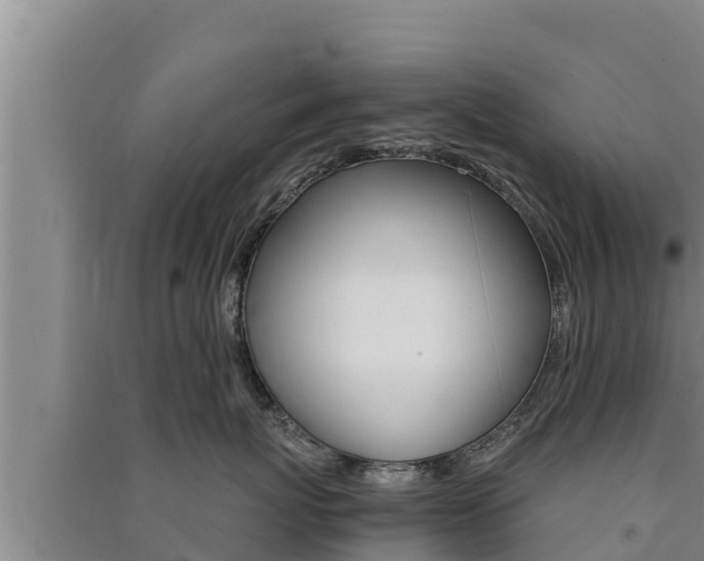 X0000091520767200708171010