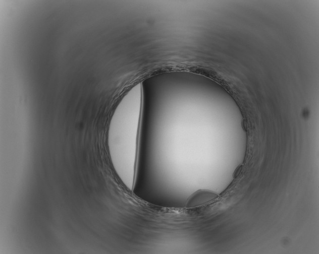 X0000091520768200708171010